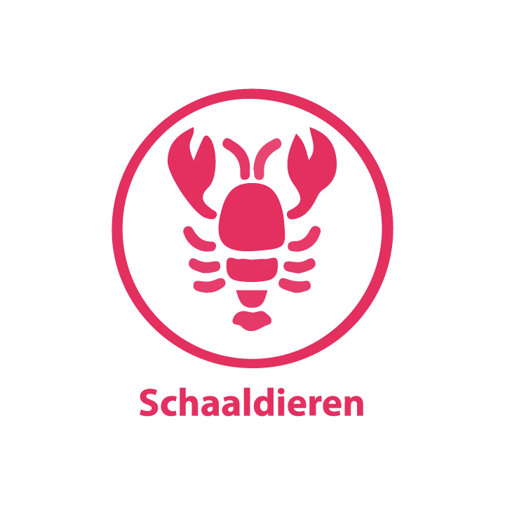 schaaldieren.webp